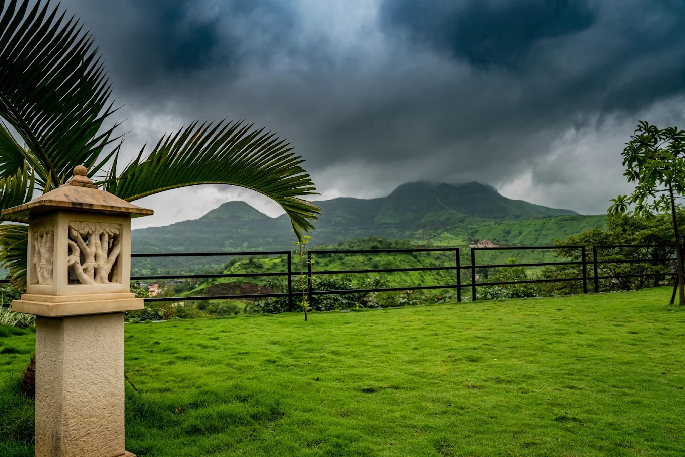 Lawn The Forest Club 04