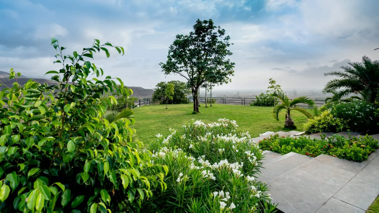 WhatsApp Image 2019-08-07 at 16.17.10